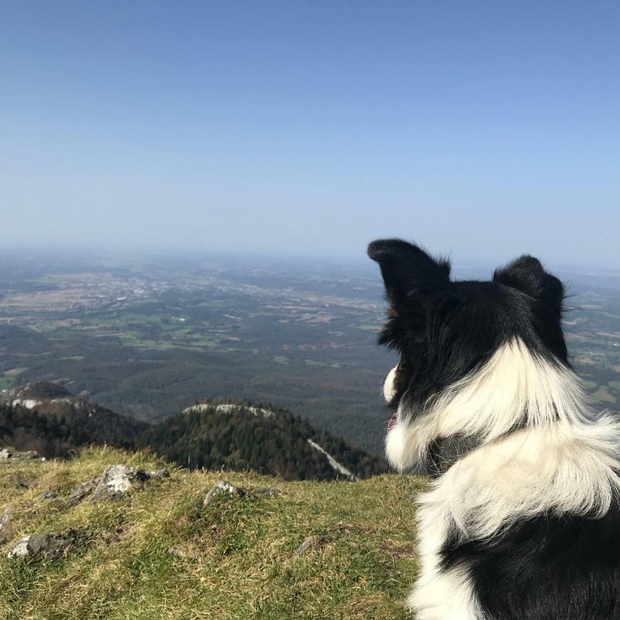 Gite Cap De La Hont Laruns Bagian luar foto