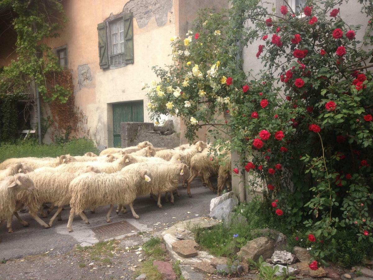 Gite Cap De La Hont Laruns Bagian luar foto